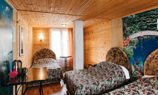 №2 (коттедж "Соболь") двухместное/трехместное