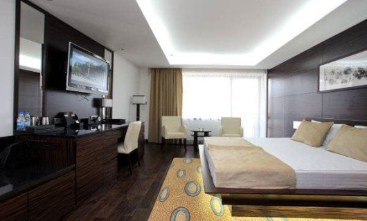 Deluxe business (SGL/DBL)